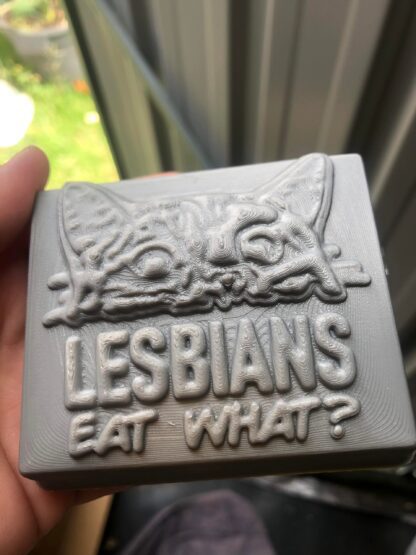 Lesbians Eat What? Bath Bomb mould, Plastic Bath Bomb Mould
